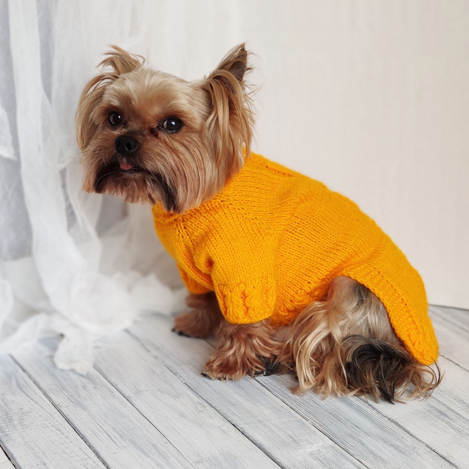 Handmade Yorkie clothes girl Yellow dog sweater Knit dog Etsy