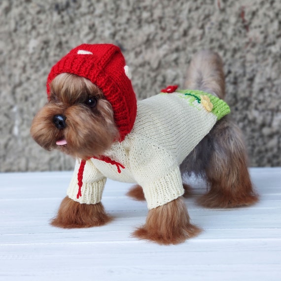 Mushroom Dog Hoody Handmade Halloween Dog Costumes for Small - Etsy Denmark