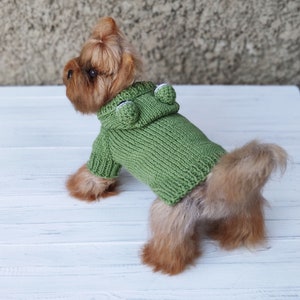 May include: A small brown and tan dog wearing a green knitted sweater with a white hood. The sweater has white pom-poms on the hood.