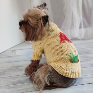 May include: A small brown and black dog wearing a yellow knitted sweater with a red and green mushroom design.