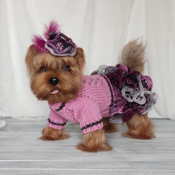 Xxs dog cheap clothes