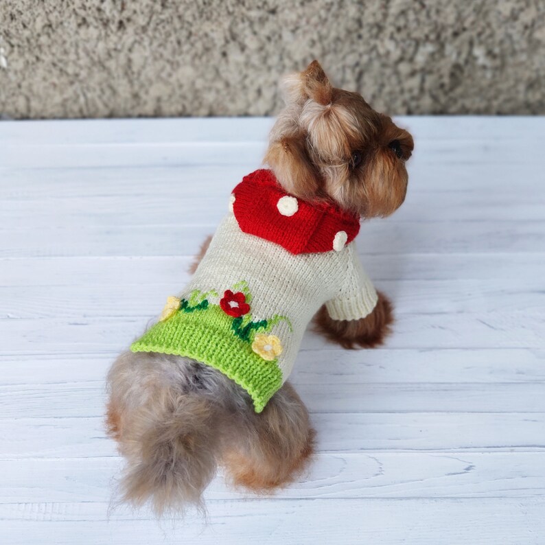 Peut inclure: Un petit chien brun et noir portant un pull en tricot avec une capuche en forme de champignon rouge et des accents de fleurs vertes et jaunes.