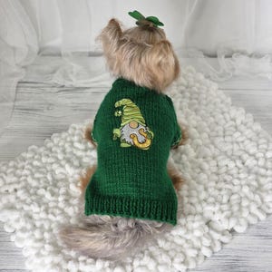 Könnte beinhalten: Ein kleiner Hund trägt einen grünen Strickpullover mit einem Zwergen-Design. Der Pullover hat ein Kleeblatt auf dem Rücken und ein passendes Kleeblatt-Haaraccessoire. Der Hund sitzt auf einer weißen, strukturierten Oberfläche.
