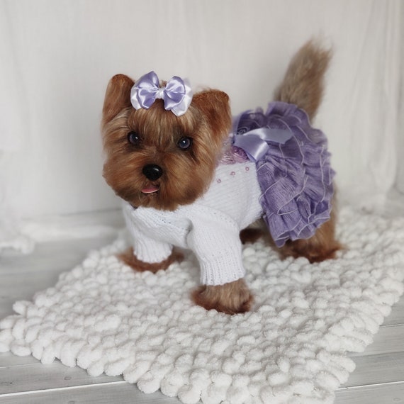 Cute Pet Clothes Cartoon Pet Clothing Winter & Fall Cat Puppy Dogs Clothes  for Dog - China Pet Supply and Pet Accessories price