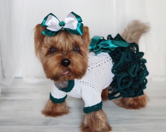 XS dog clothes Emerald green and white knit dog sweater dress  Girl dog clothes Dog lover gift