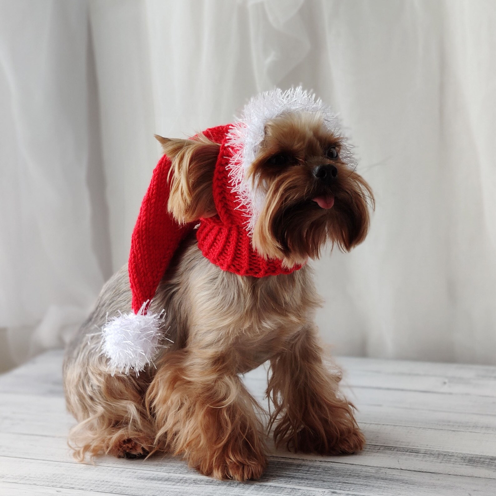 Knitted santa hat Small dog Christmas hat Etsy