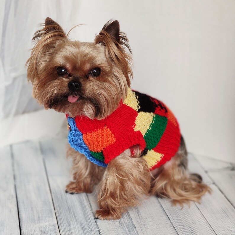 XXS Dog Clothes Harry Styles Knitted Dog Sweater Etsy