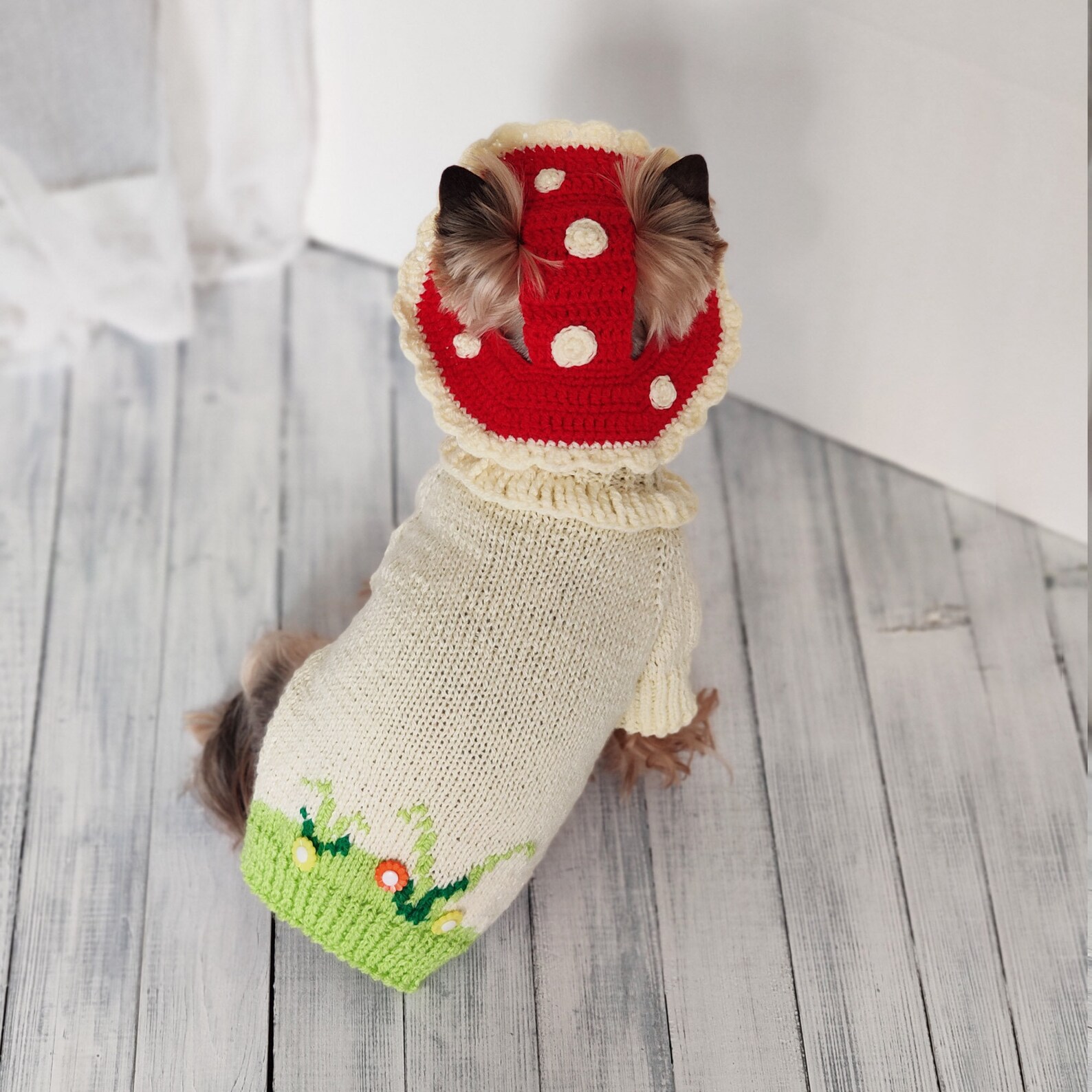 Handmade Halloween dog costumes for small dog Mushroom dog | Etsy