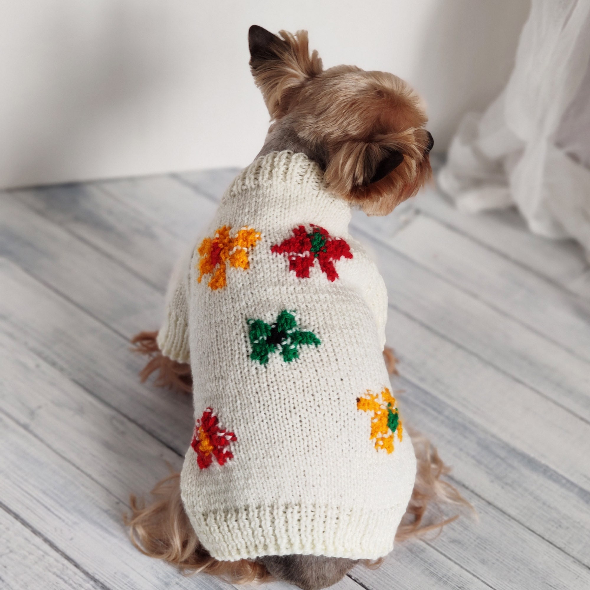 Pete Davidson hand knit dog jumper Handmade dog sweater Small Etsy