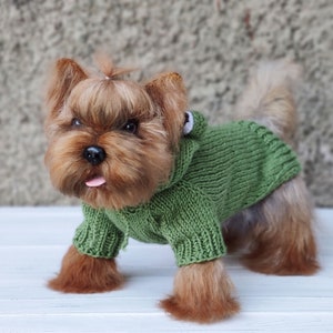 May include: A small brown and tan Yorkshire Terrier wearing a green knitted sweater with a hood.