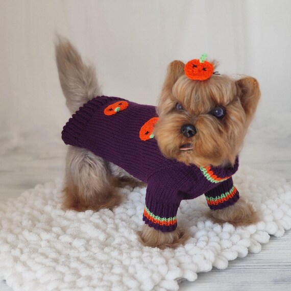 Halloween Dog Sweater With Pumpkin Handmade Halloween Sweater for