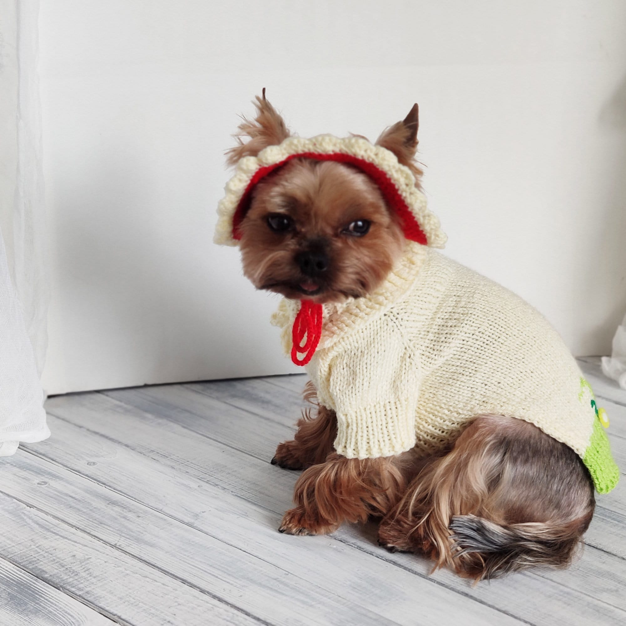 Handmade Halloween dog costumes for small dog Mushroom dog | Etsy