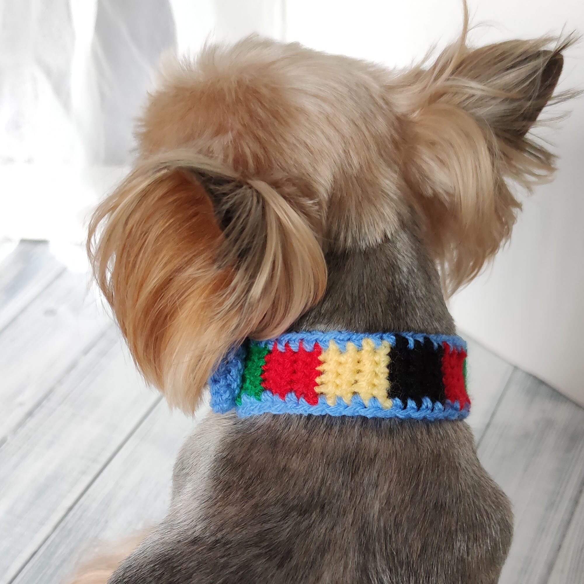 Harry Styles Dog Collar Colorful Knitted Pet Collar Pet - Etsy Harry Styles Dog Collar Colorful Knitted Pet Collar Pet - Etsy