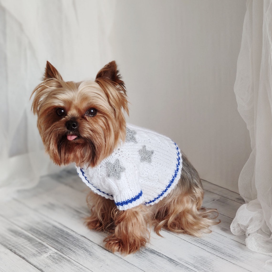 Taylor Swift Dog Sweater
 XXS dog clothes Taylor Swift inspired dog cardigan Folklore