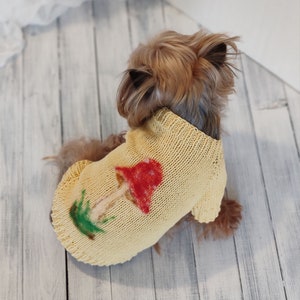 May include: A small dog wearing a yellow knitted sweater with a red and green mushroom design.