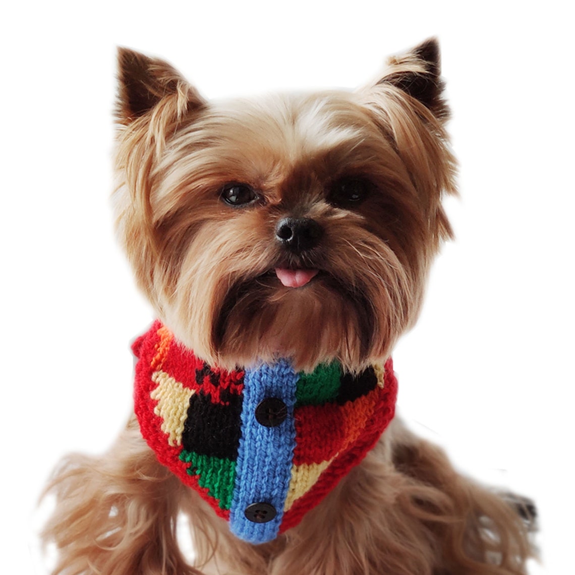 Harry styles dog clothes Colorful dog sweater Knitted outfit Etsy