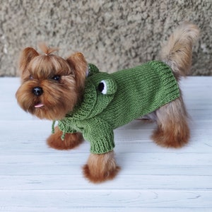 May include: A small brown and white dog wearing a green knitted sweater with a frog design. The sweater has a hood and a cute frog face on the front.
