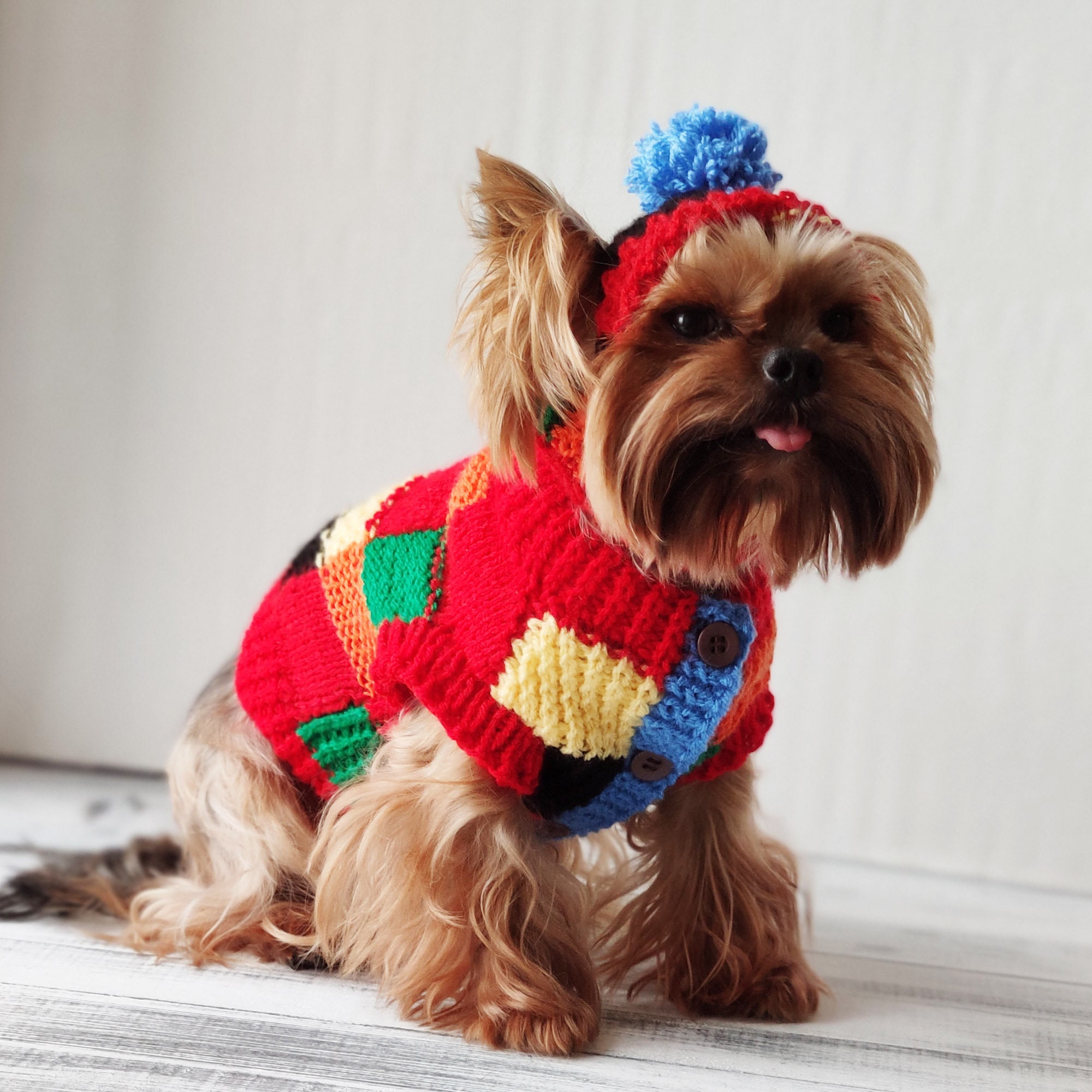 Harry Styles Knitted Dog Sweater Hat 