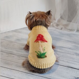 May include: A small dog wearing a yellow knitted sweater with a red and green mushroom design.