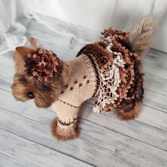 Brown Birthday Dog Dress for Small Dog Handmade Cat Sweater Gifts for Pets - Etsy UK Brown Birthday Dog Dress for Small Dog Handmade Cat Sweater Gifts for Pets - Etsy UK