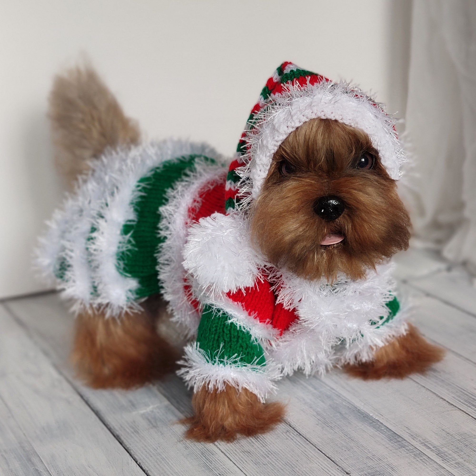 santa's little helper dog costume