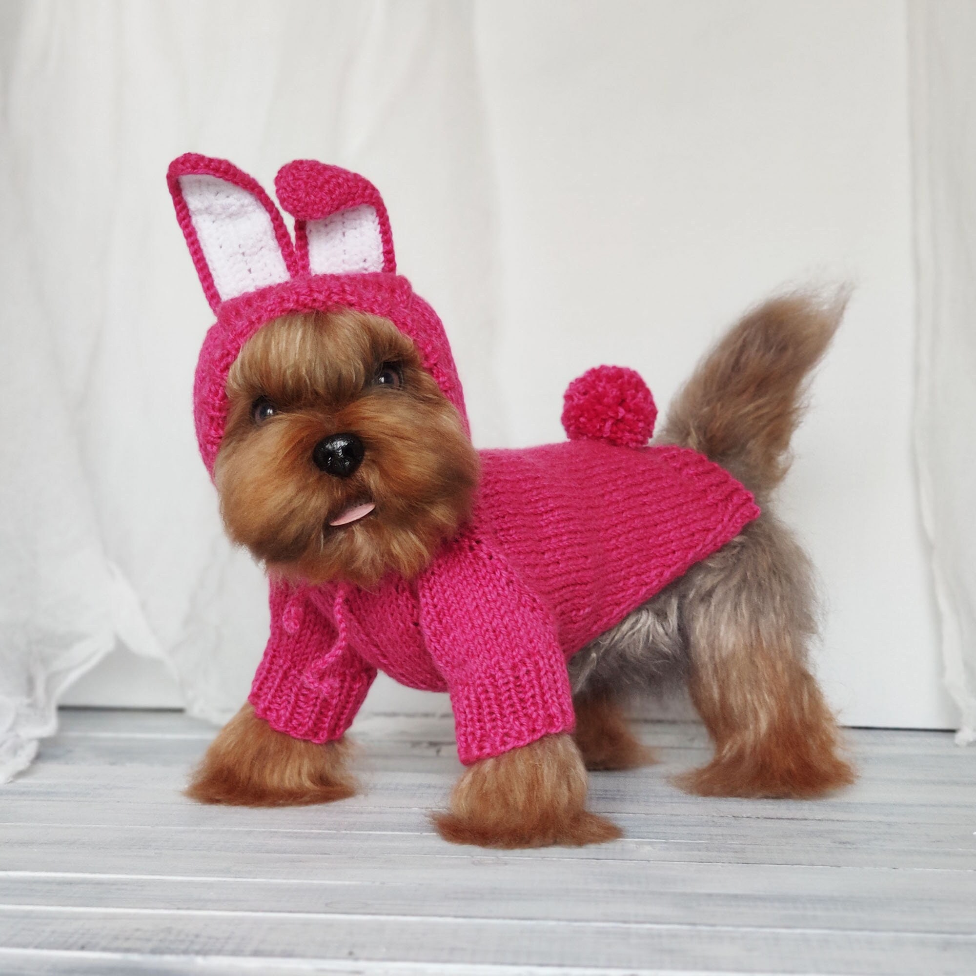 Buy Dog Halloween Costume Rabbit Dog Costume Bunny Ears Hoodie for Online  in India 