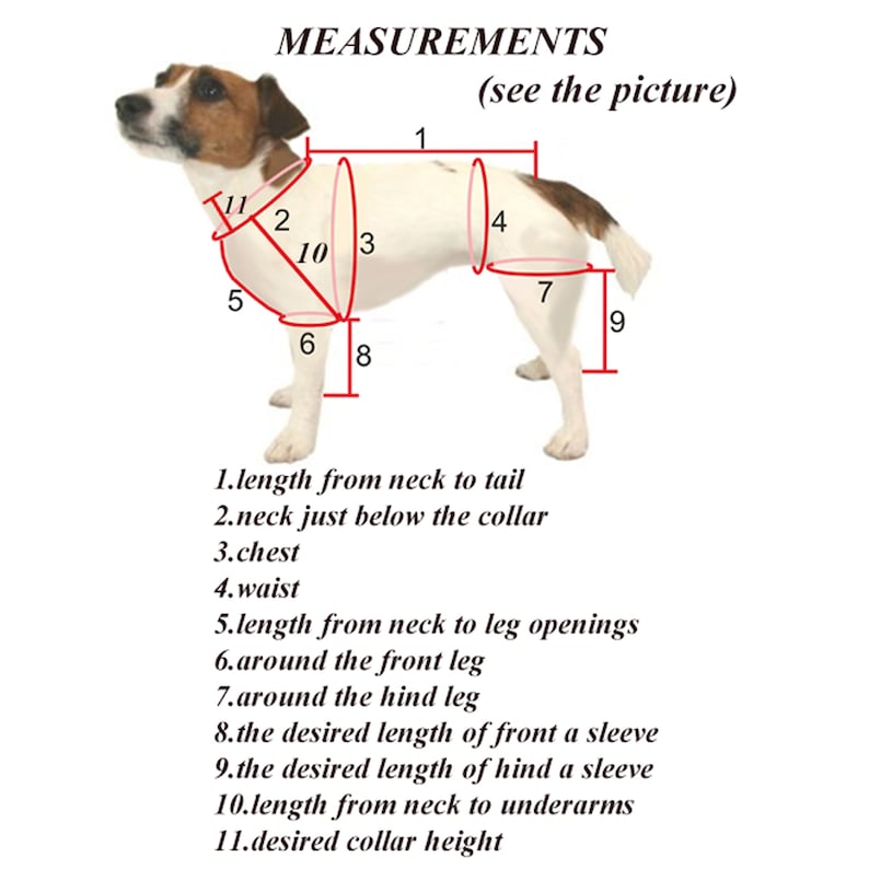 May include: Diagram showing how to measure a dog for a custom-made dog sweater. The diagram shows 11 different measurements, including length from neck to tail, neck just below the collar, chest, waist, length from neck to leg openings, around the front leg, around the hind leg, desired length of front sleeve, desired length of hind sleeve, length from neck to underarms, and desired collar height.
