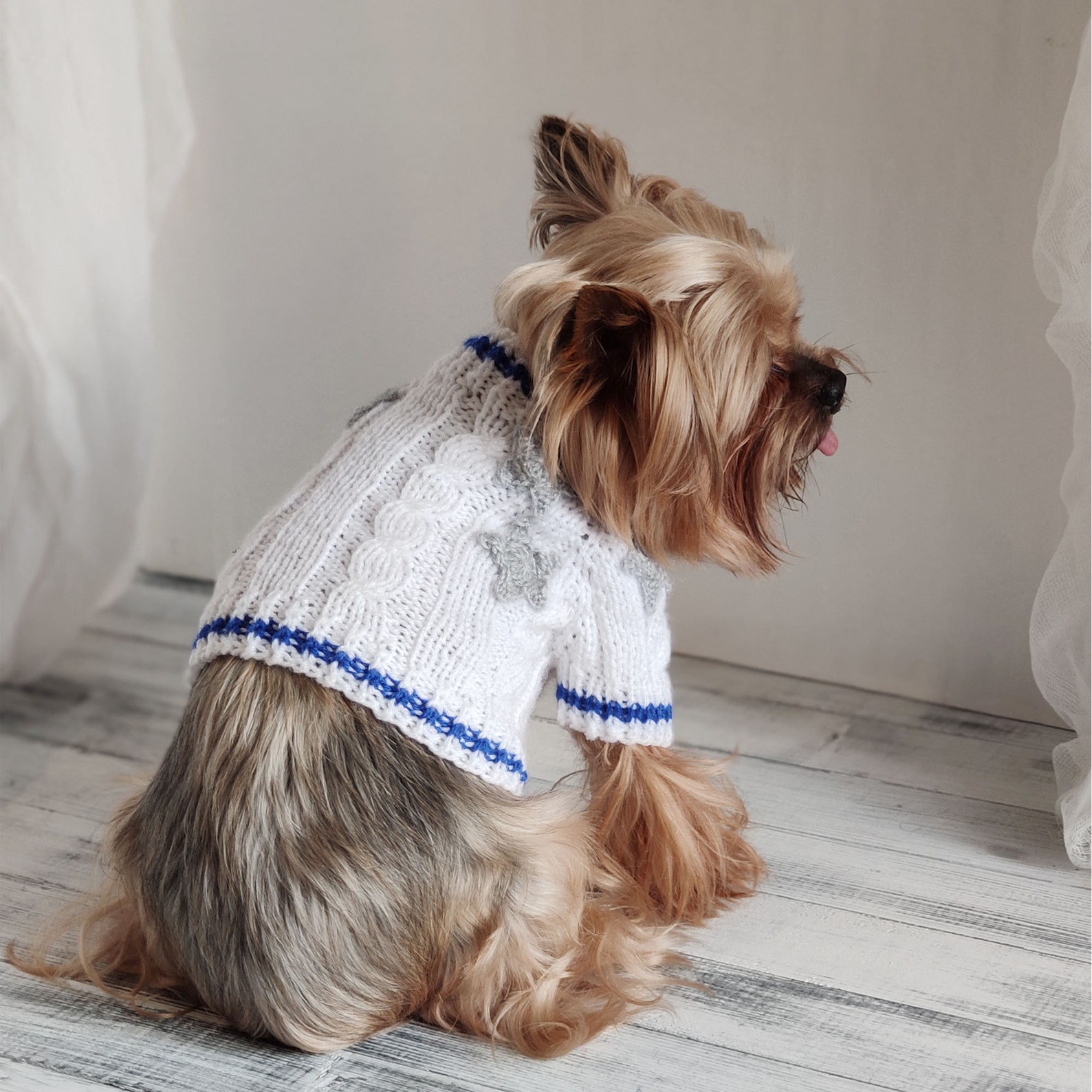 XXS dog clothes Taylor Swift inspired dog cardigan Folklore Etsy