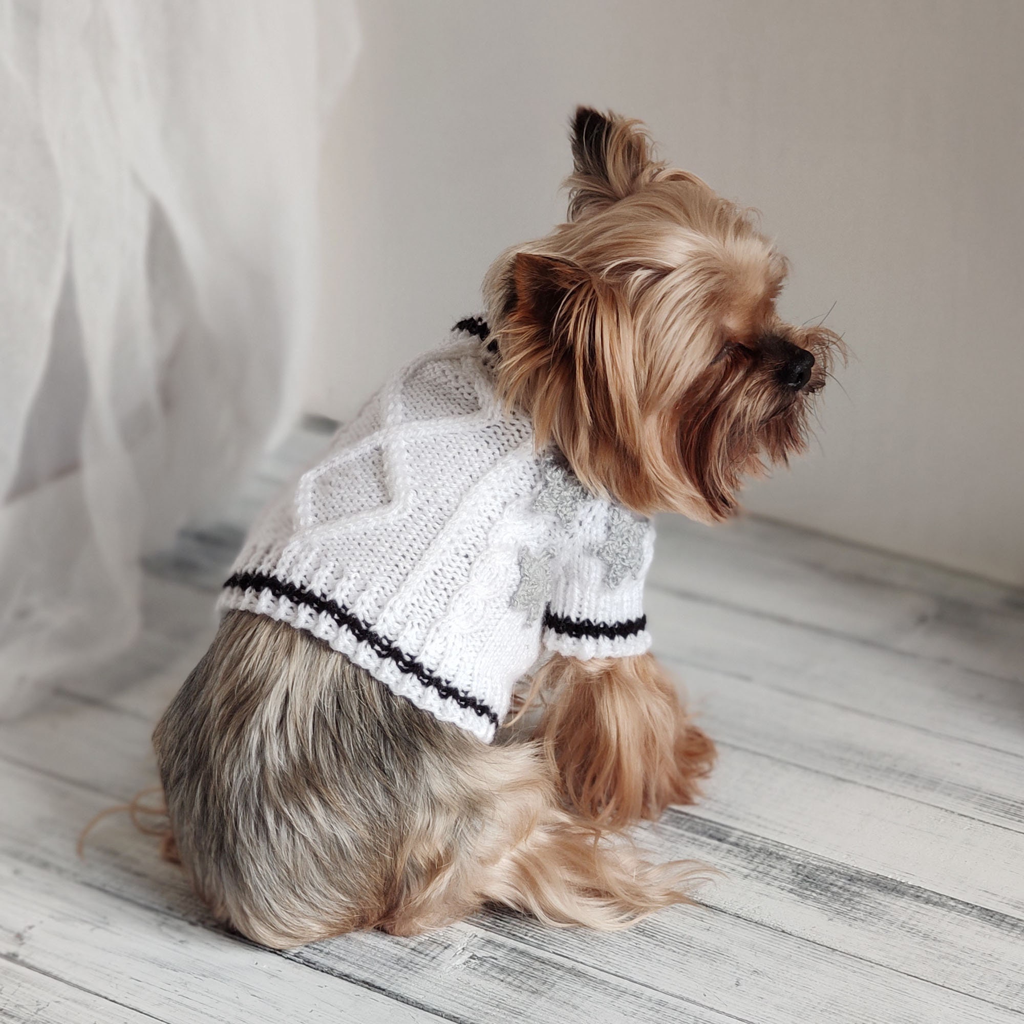 Taylor Swift Dog Sweater
 Taylor Swift inspired dog cardigan Folklore Extra small Knit