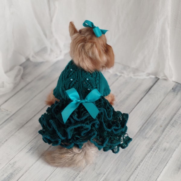 Robe de chien d’anniversaire vert émeraude pour petit chien Pull de chat fait à la main Cadeaux pour animaux de compagnie