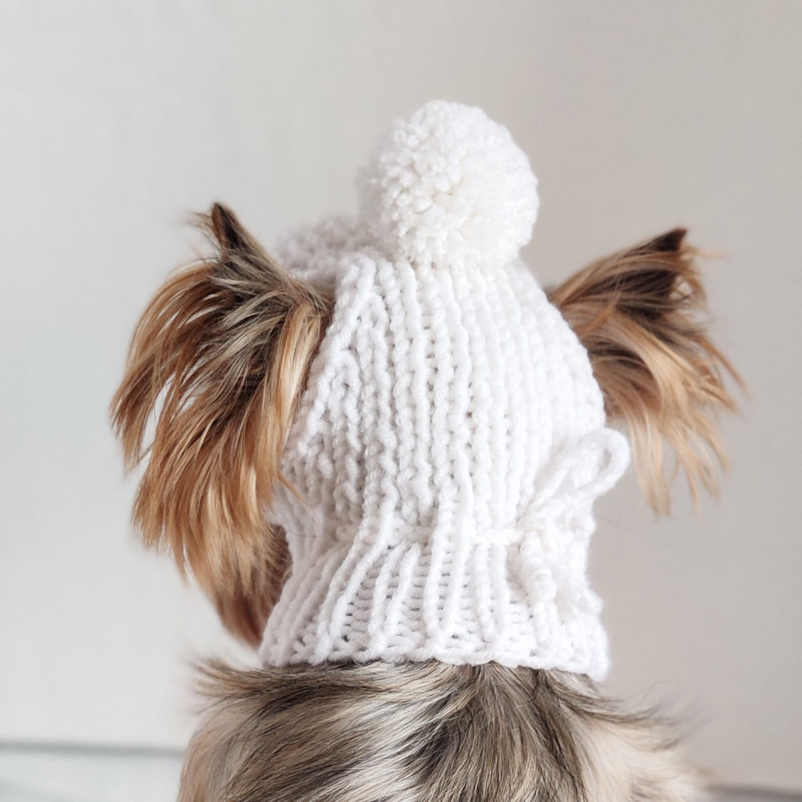 Winter knitted hat for small dog with ear holes Etsy