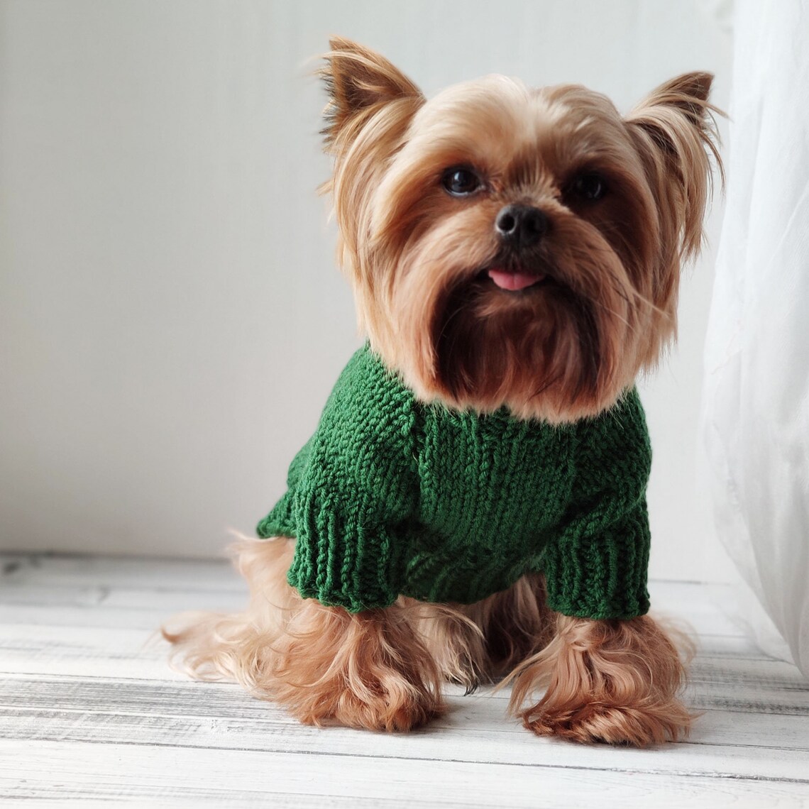 Green Dog Sweater
 Knit green dog sweater XXS dog clothes