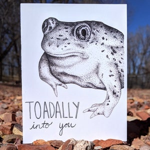 Toad-ally dans votre carte
