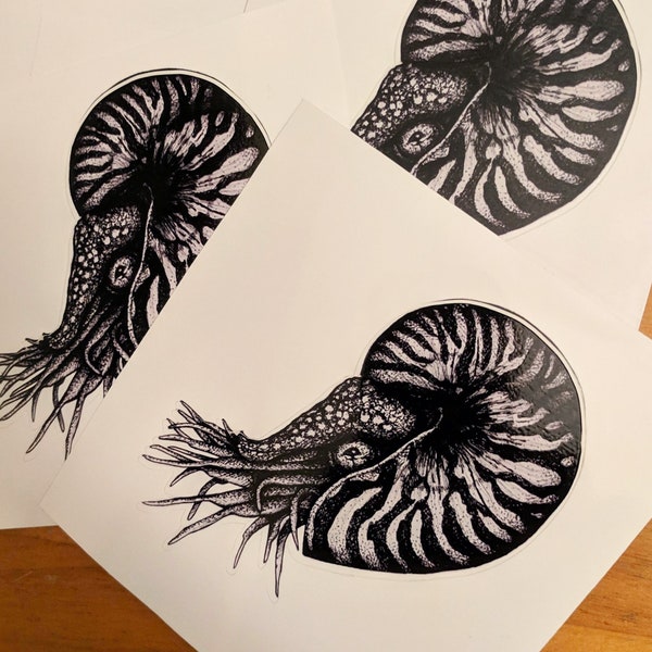 Nautilus Sticker