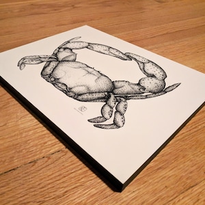 Crab Mounted Print