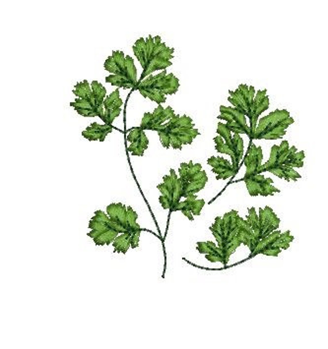 Kit Herbs machine embroidery designs without herbal names Etsy