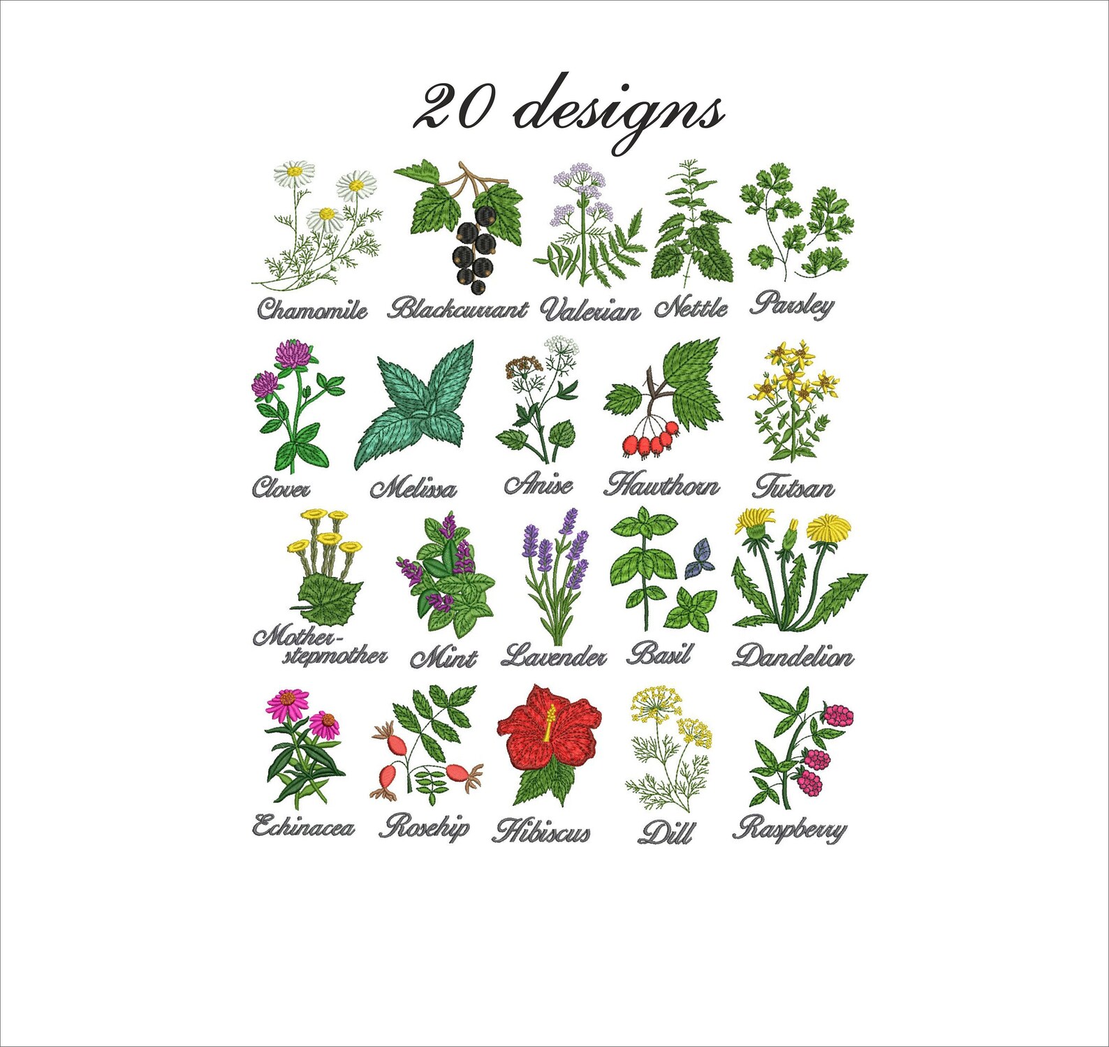 Kit Herbs machine embroidery designs medical tea dried Etsy