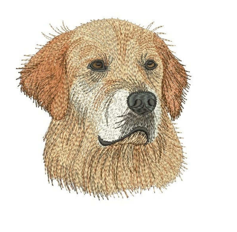 Labrador golden retriever machine embroidery design dog Etsy