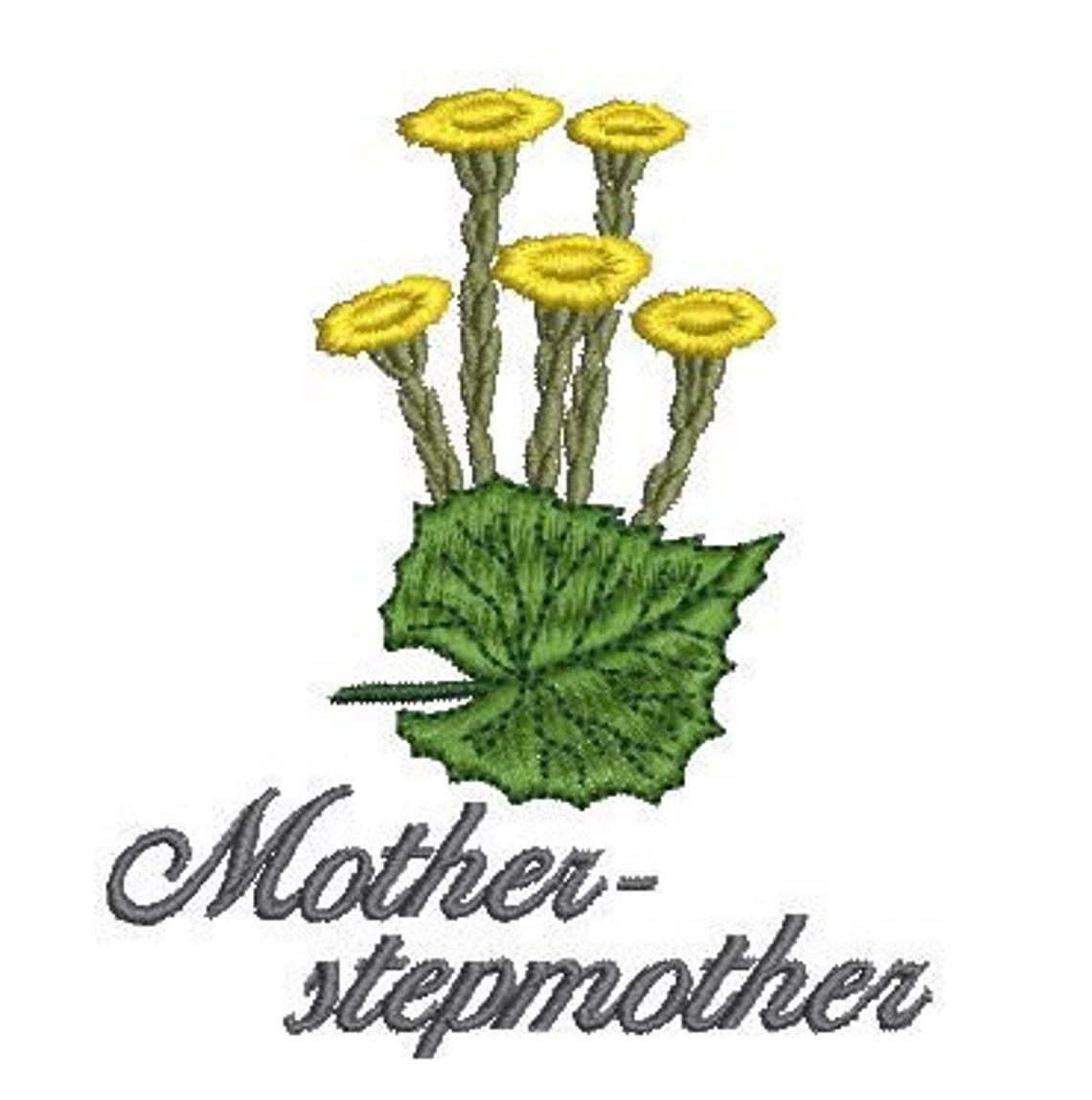 Kit herbs machine embroidery designs medical tea dried  etsy Kit herbs machine embroidery designs medical tea dried  etsy