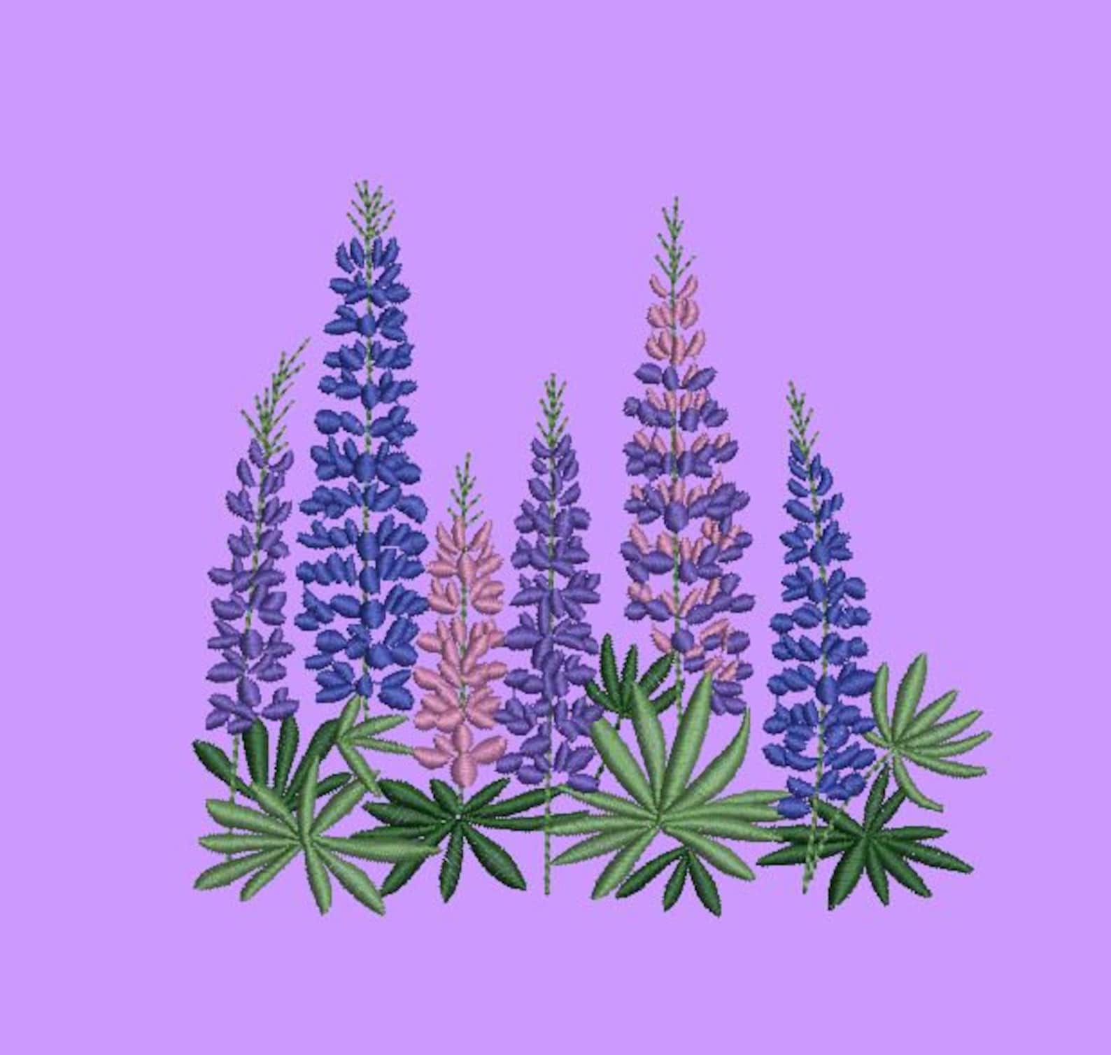 Lupine machine embroidery design texas wildflowers flower  etsy Lupine machine embroidery design texas wildflowers flower  etsy