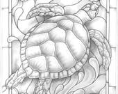 Sea Turtle