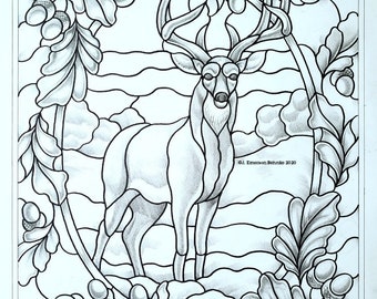 White-tailed Deer