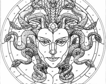 The Face of Medusa ( DIGITAL. PDF )