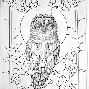 May include: A black and white line drawing of an owl perched on a branch in a stained glass window frame. The owl is facing forward with its wings folded. The window frame is decorated with intricate designs. The text "C.J. Emerson Behnke 2020" is at the bottom of the image.