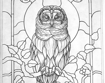Barred Owl