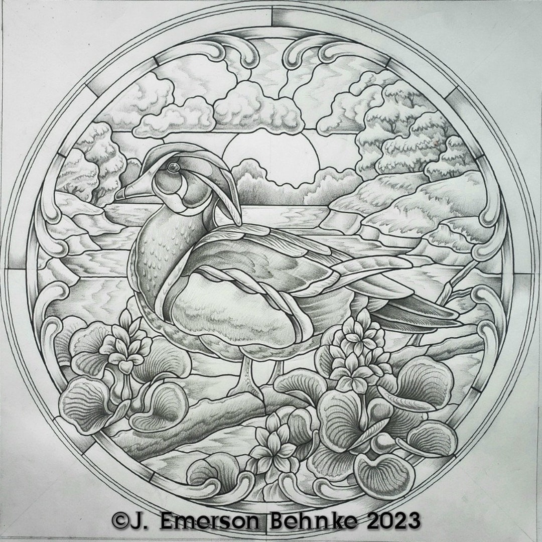 Wood Duck With Water Hyacinth DIGITAL.PDF Etsy