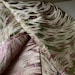 Metallic jacquard brocade with floral embossing and lustrous sheen in multi-tone blossom motif