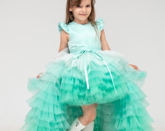 Mint Tutu Dress, Ombre Tulle Dress, Tiered Girl Dress, Flower Girl Dress, Asymmetrical Dress With Train, 1st Birthday Outfit, Princess Dress