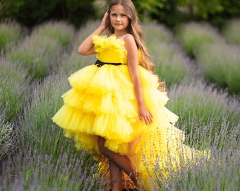 Yellow Tulle Dress, Toddler High Low Dress, Pageant Gown, Middle School Dance Dress, Flower Girl Dress, Girl Tiered Dress, Occasion Gown