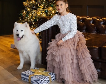 Tulle Birthday Party Dress, Maxi Ruffle Dress, White And Brown Dress, Princess Toddler Dress, Tulle Tutu Dress, Train Dress, Layered Dress